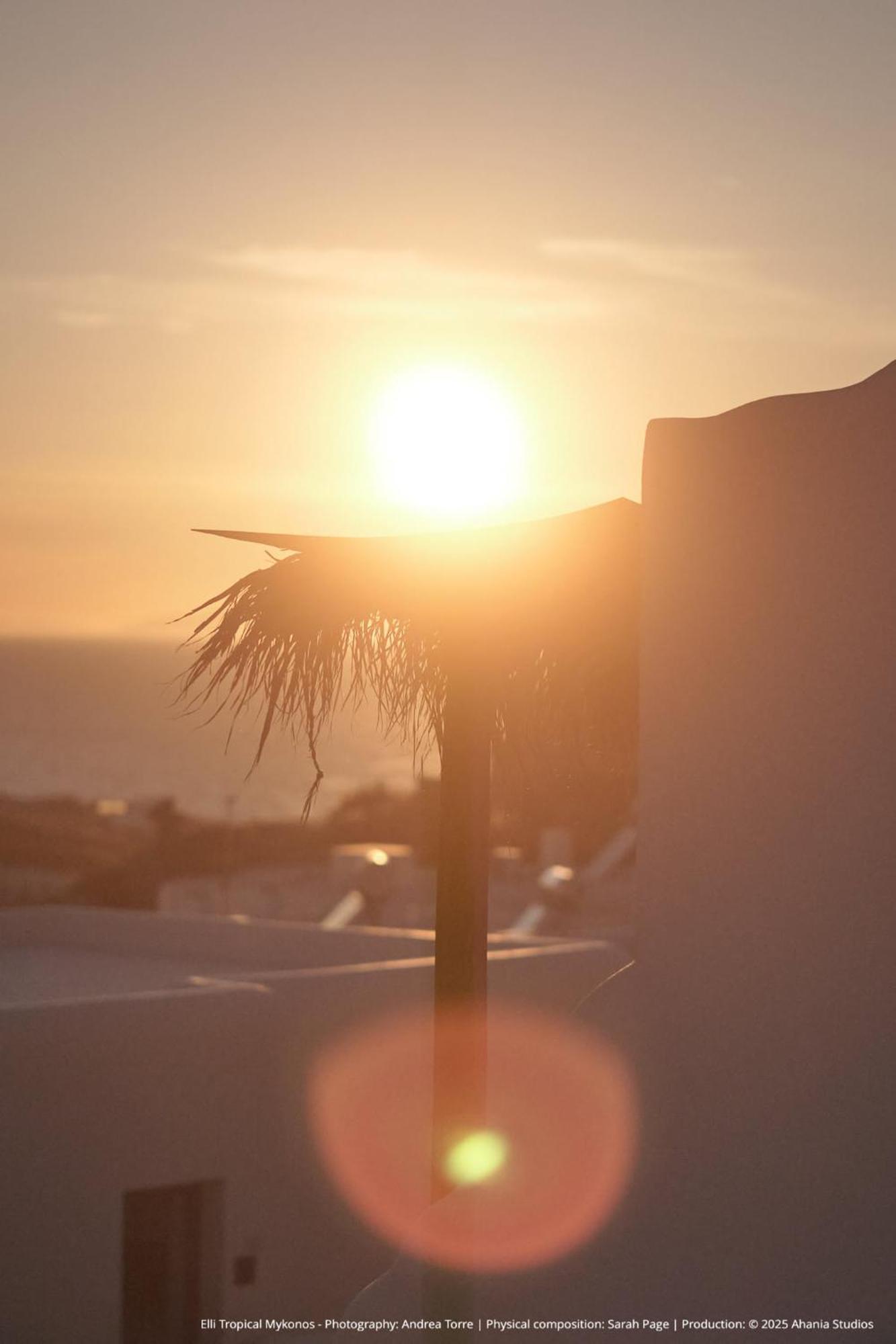 Elli Tropical Suites Mykonos Town Exterior foto